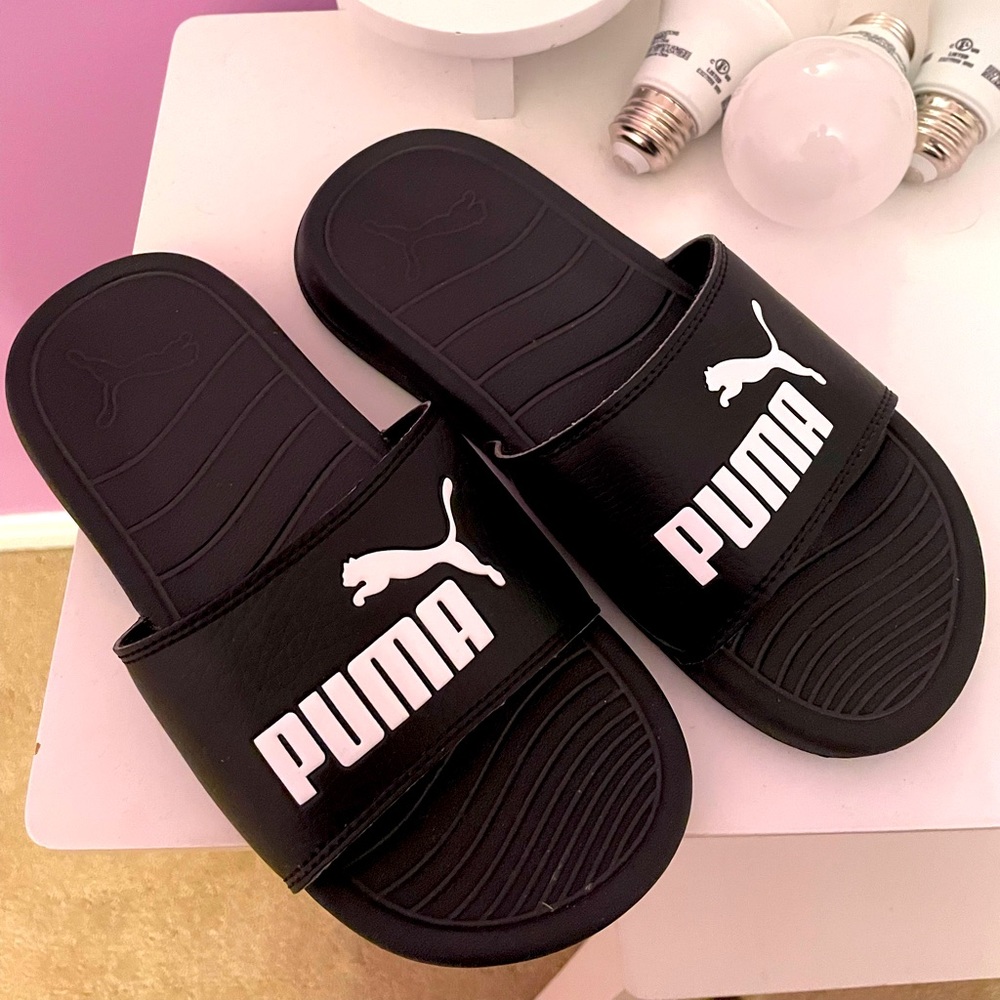COPY - Puma Pool Slides